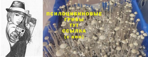 шишки Инсар
