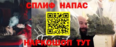 spice Камышлов