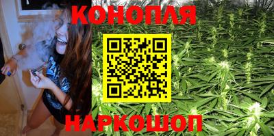 spice Камышлов