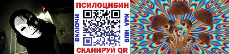 Псилоцибиновые грибы мицелий Кудрово