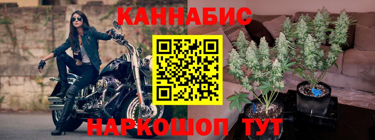 Бошки марихуана SATIVA & INDICA Кудрово